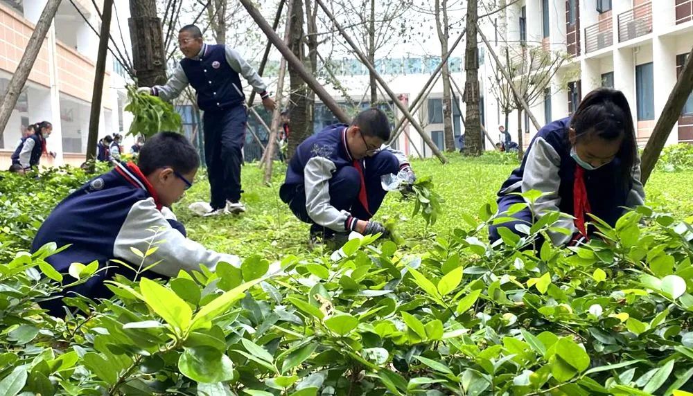 校園秒變農場師生吃出幸福