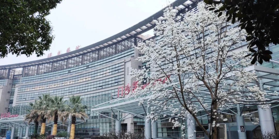 曙光新闻蝉联全国第一最新中医院国考成绩出炉曙光医院再获佳绩