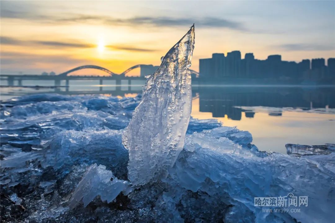 松花江哈尔滨段开始跑冰排了|超多美图