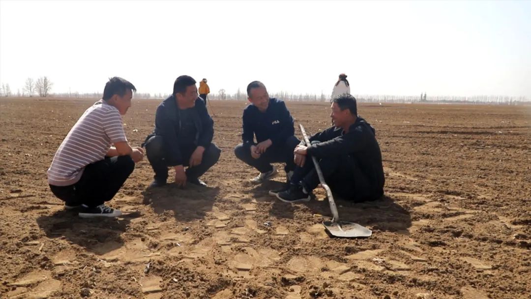 【咱村的小康故事11】圐圙补隆村:合作社领办记