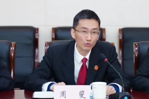 党组副书记,常务副院长周斐详细介绍了景宁法院政法队伍教育整顿工作