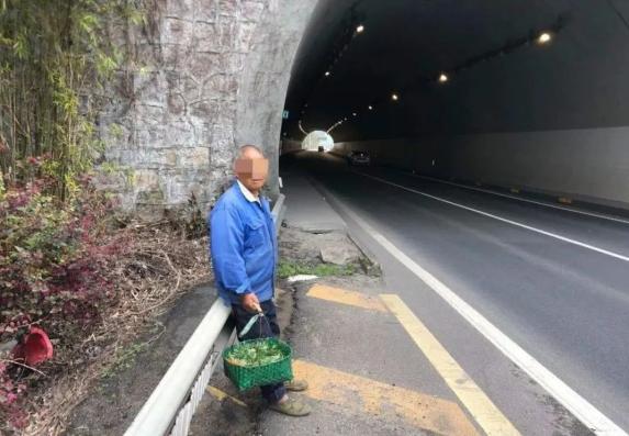 高速公路行人安全_ 老人高速行走事故_湖南7名行人在高速应急车道行走