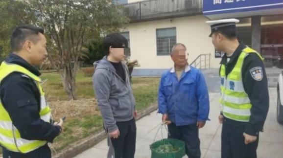 湖南7名行人在高速应急车道行走_高速公路行人安全_ 老人高速行走事故