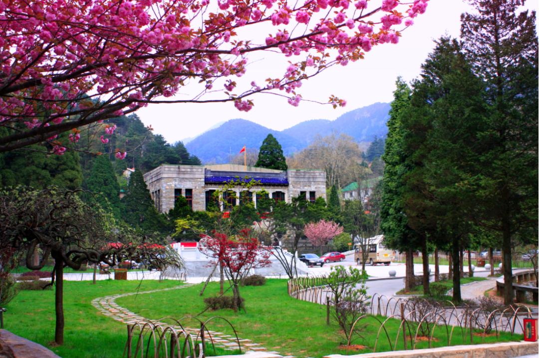 四月花开踏青赏景,最美春天庐山等你