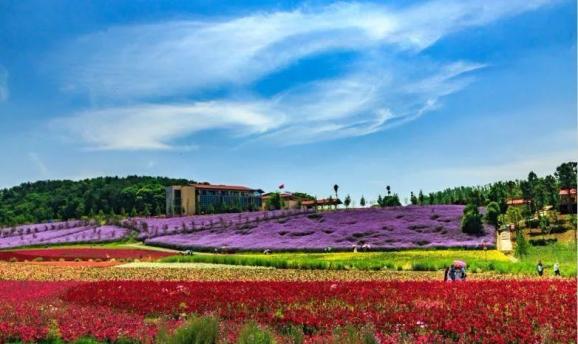 東方年華景區位於枝江市安福寺鎮是一家集農業休閒,觀光體驗戶外拓展