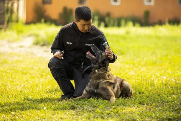 相伴虽无言孤独不平凡记哈尔滨市公安局刑事技术支队警犬大队副大队长