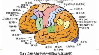 记不住字、成绩垫底，孩子究竟是笨还是病？