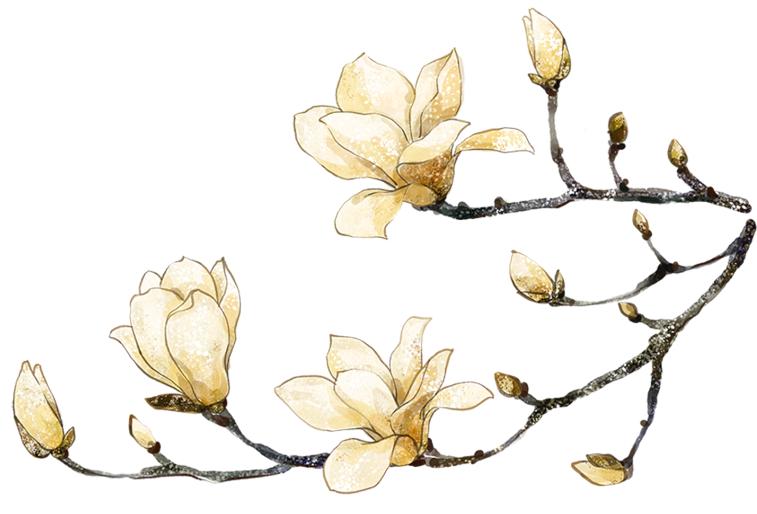 虎法先锋丨盛开在审判一线的木兰花 ——记民事审判第一庭庭长朱海兰