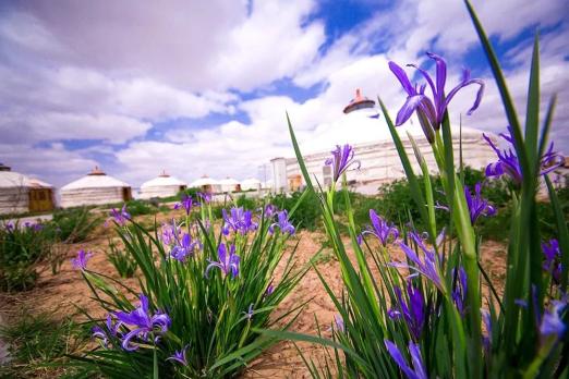 花花世界奔你而来暖春出游赏花约起