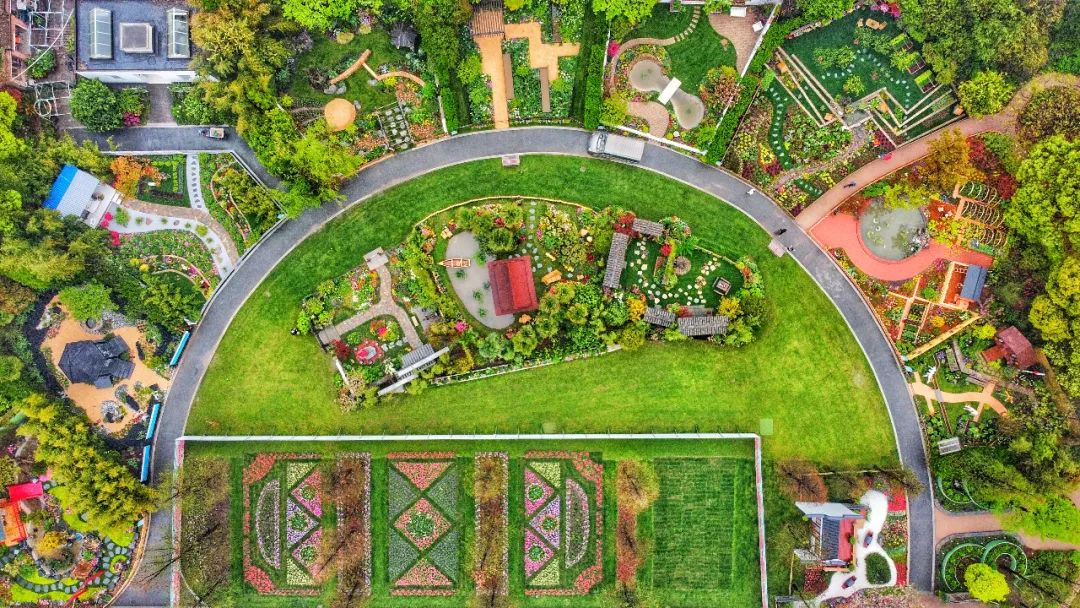 21上海 国际 花展今日开幕 主会场看点一键了解 政务 澎湃新闻 The Paper