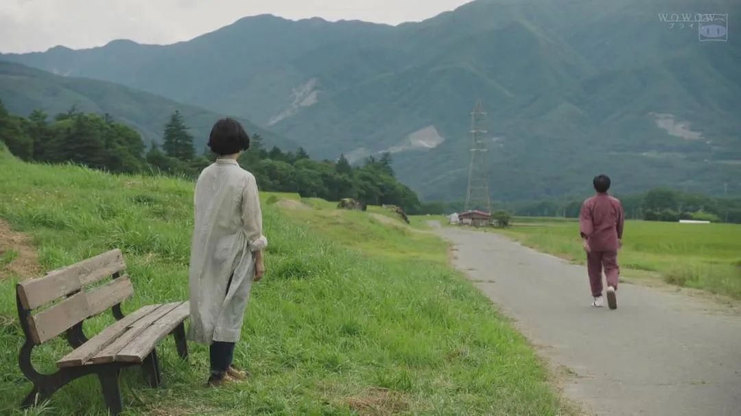 春日里宜发呆看日剧