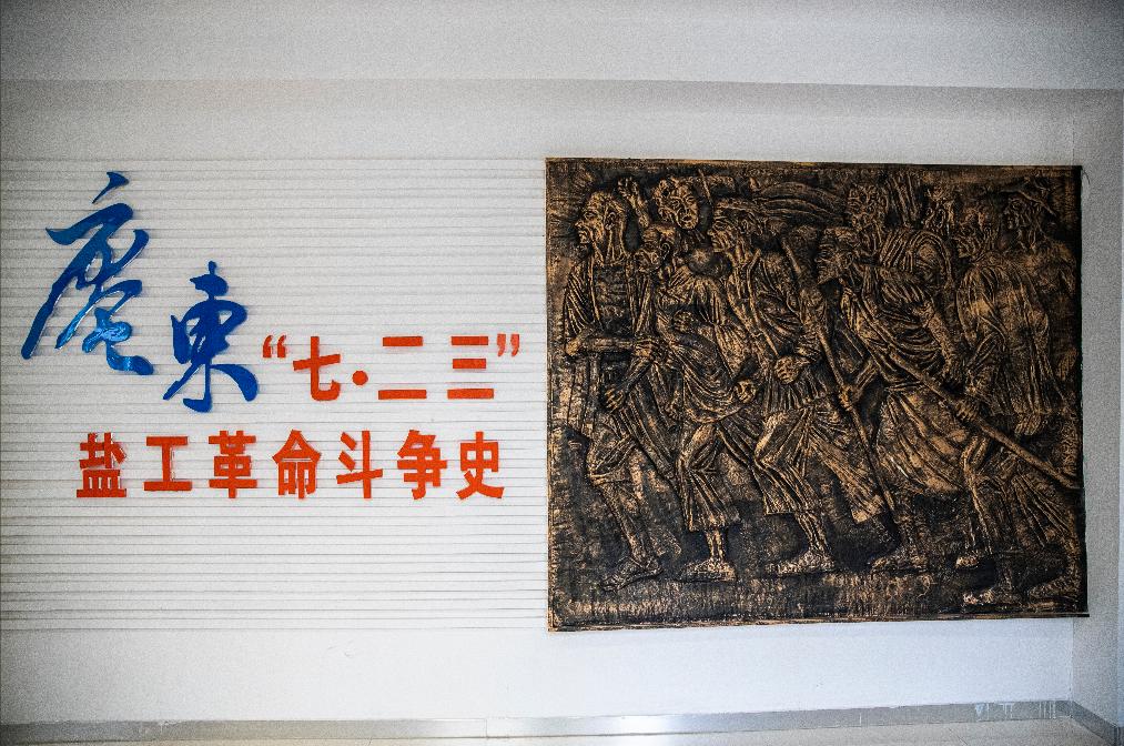 百家发布追寻奋斗百年路慈溪盐碱地上战强敌杭州湾畔谱强音