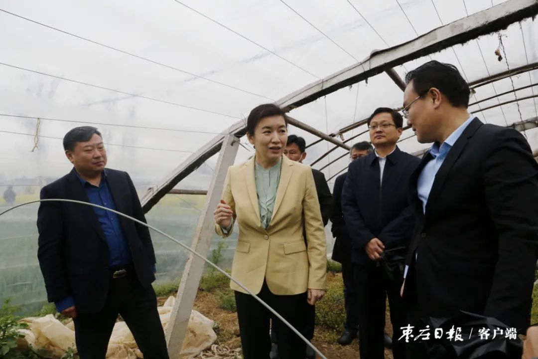 张宏伟调研春季农业生产工作