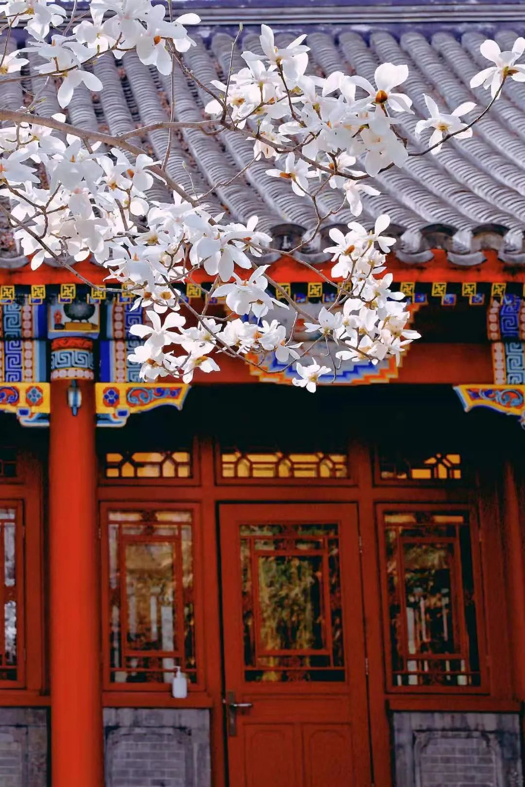 北京大学横屏观看效果更佳 准备好接收360&deg;震撼全景了吗?