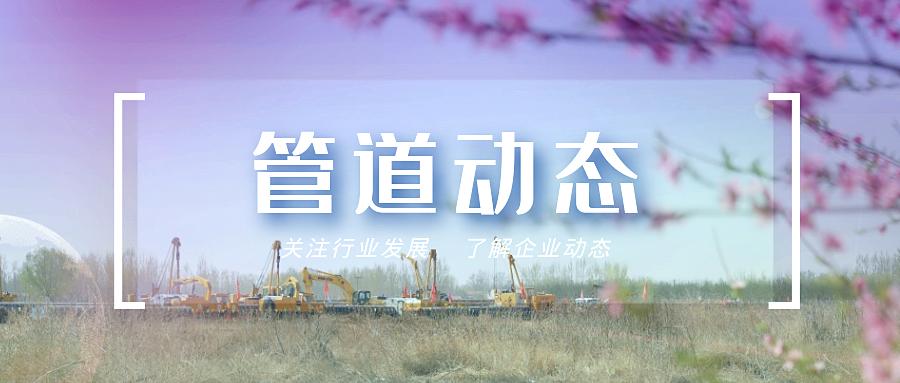 管道动态丨21年第12期 政务 澎湃新闻 The Paper