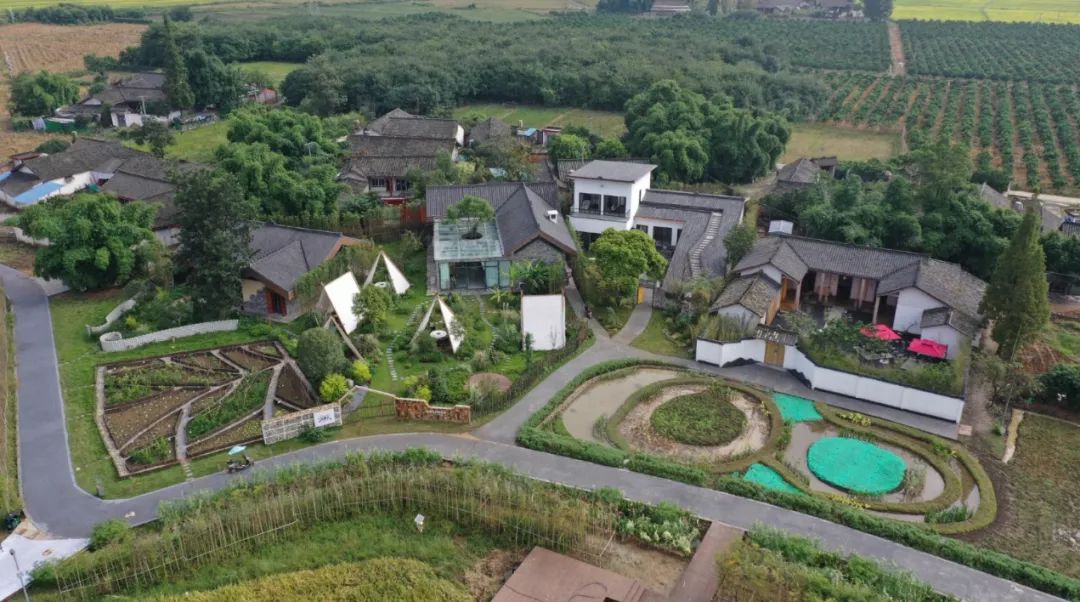 踏青赏花摘果采茶10条精品线路带你畅游川西林盘