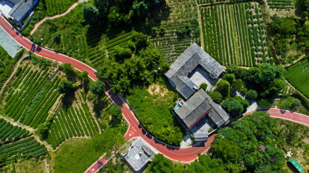 踏青赏花摘果采茶10条精品线路带你畅游川西林盘