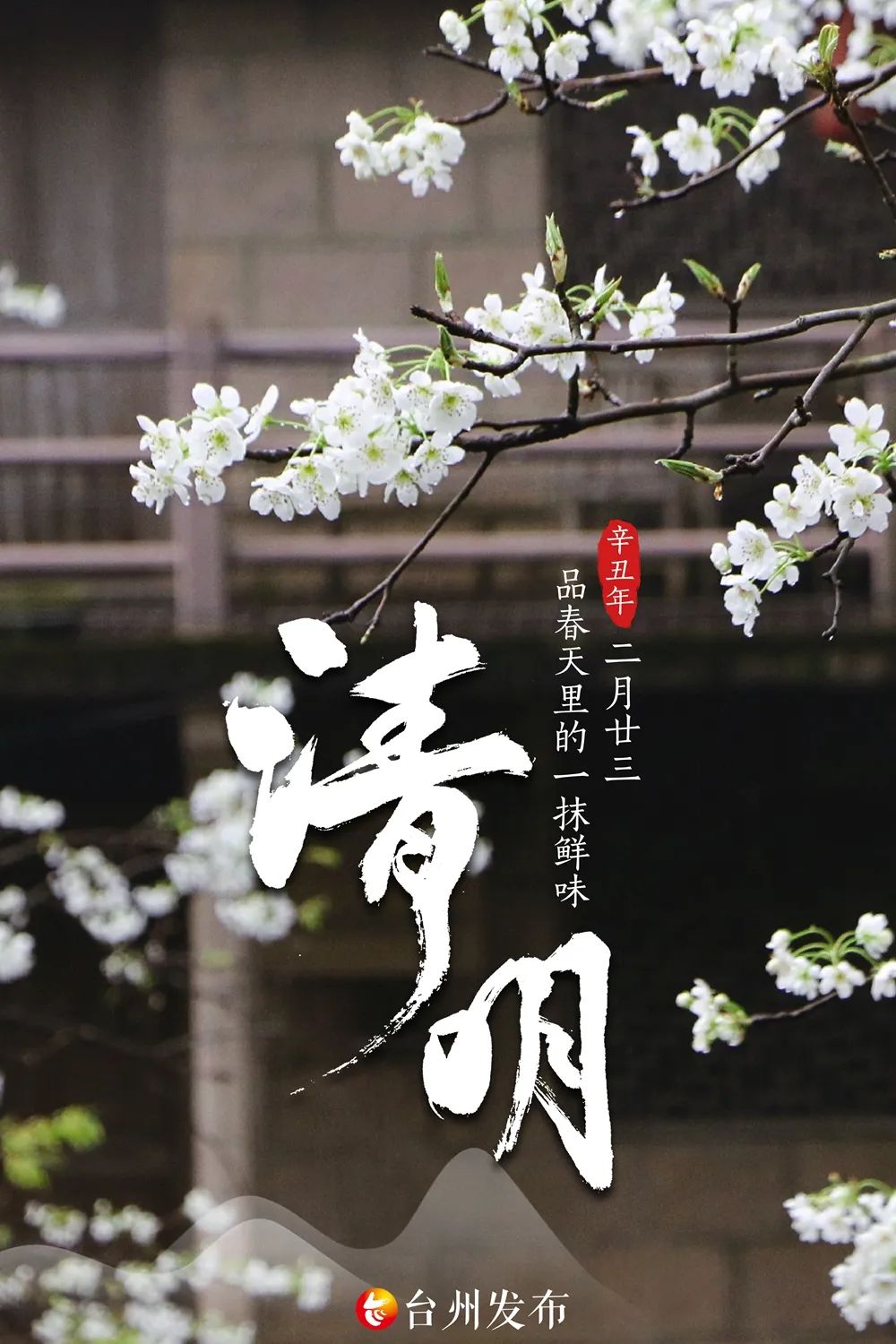 今日清明品春天里的一抹鲜味