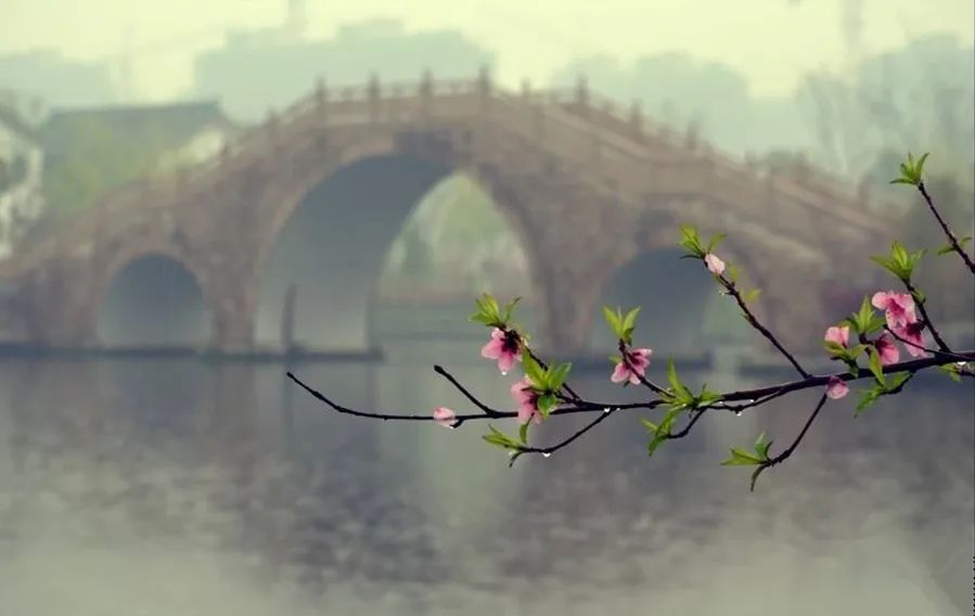 清明| 气清景明,吐故纳新