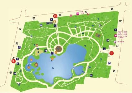 约吗?这个春天,划船赏花一个都不能少