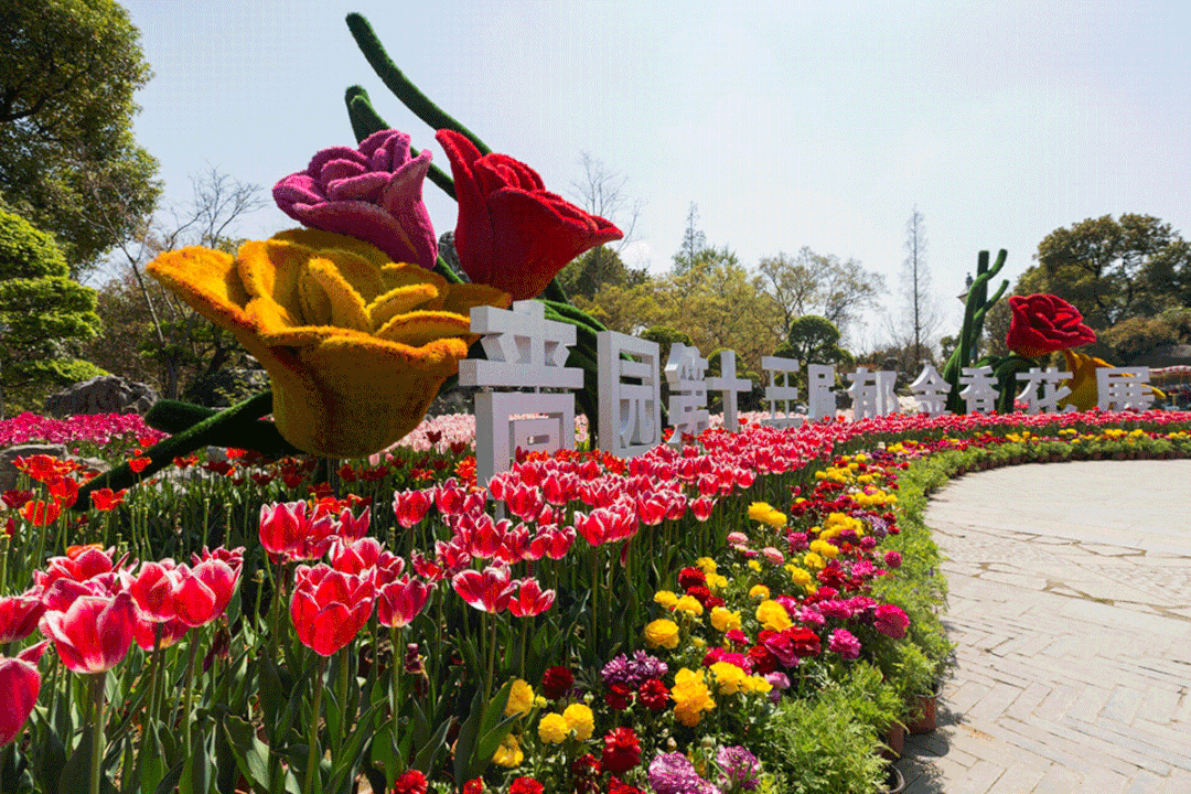 缤纷美丽而娇艳的花朵把春天的气息带到人间郁金香赏花地推荐:啬园