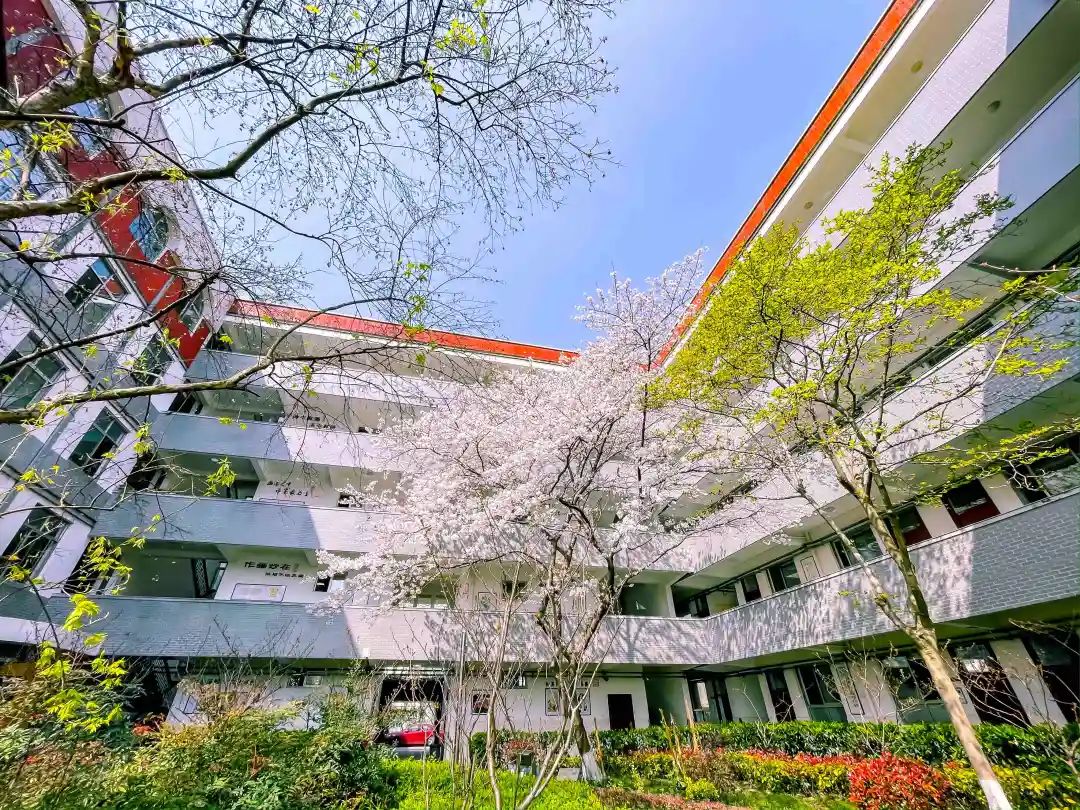 东方今天,就让我们一起去一窥芳颜吧~在青浦的春天格外惹人想念仿佛