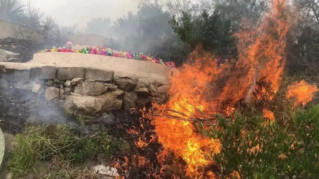 清明祭祖变烧山后果