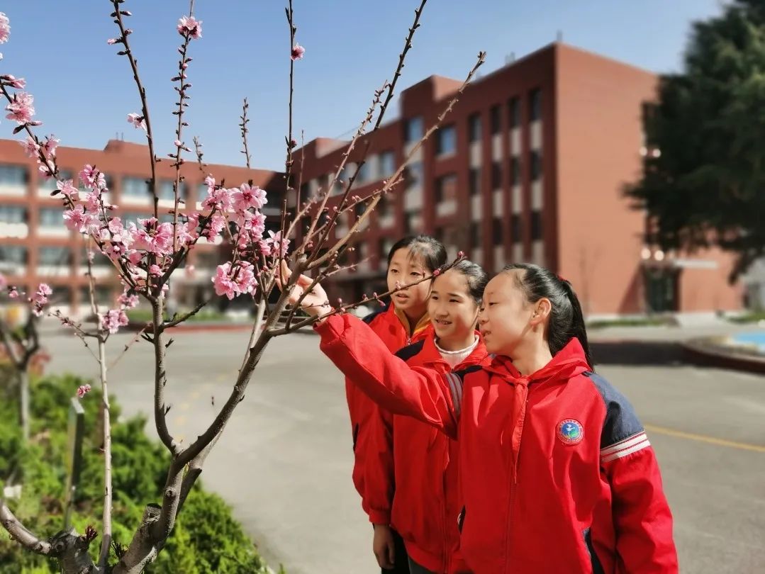 临朐县东城街道文昌小学昌乐县古城小学昌乐站前街幼儿园昌乐北大公学