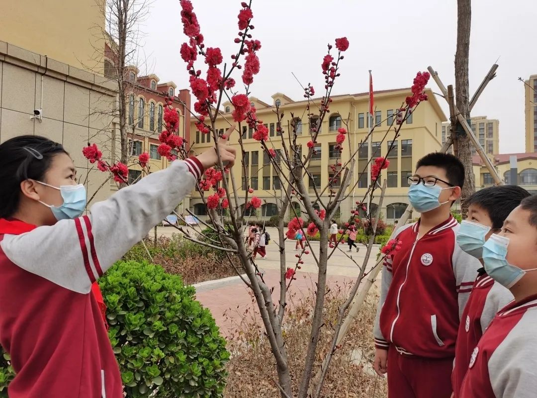 昌乐站前街幼儿园昌乐北大公学学校昌乐县宝都街道小学昌乐县实验幼儿