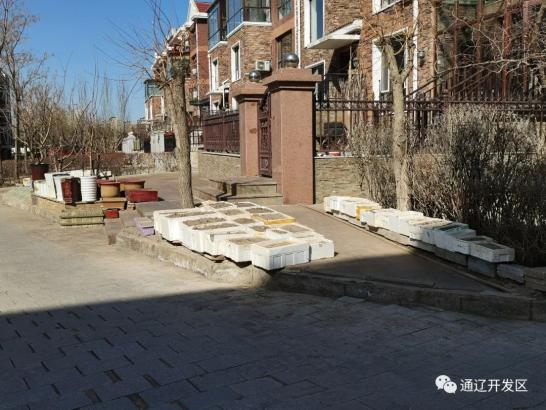 在金都新城社区金都新城小区记者看到,小区路面存在破损现象,绿化带内