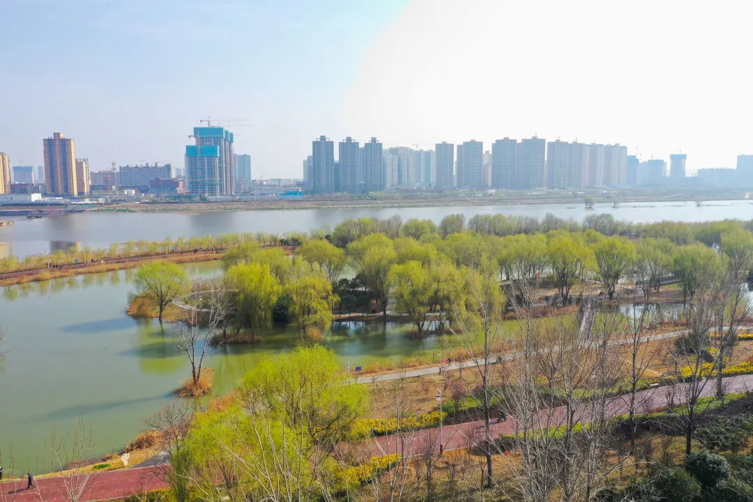 一路一风景咸阳花海又美出了新高度