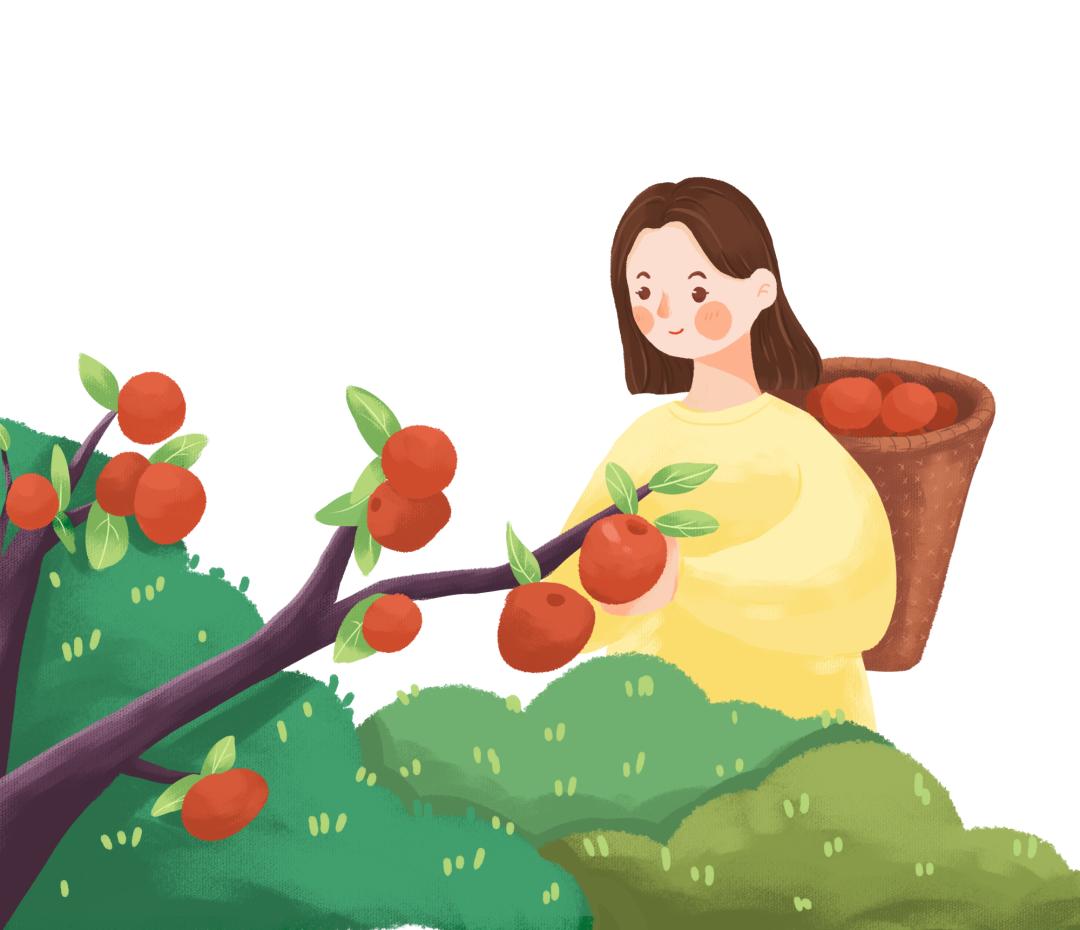 我的创业故事佳祥农场农夫果园樱桃园女主人王海芳的故事