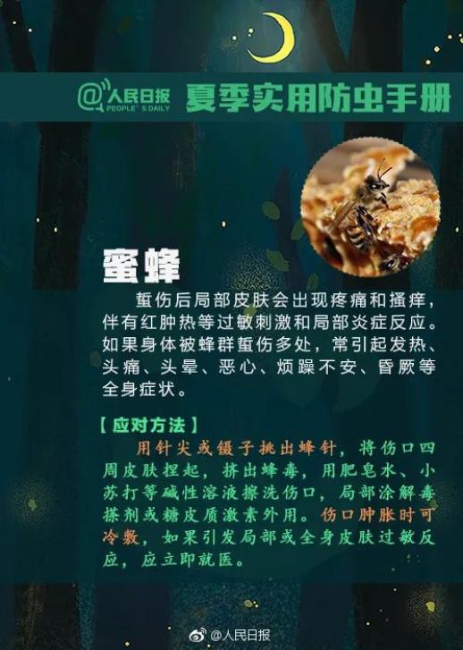 红火蚁已入侵四川等12省份有人被咬后身亡