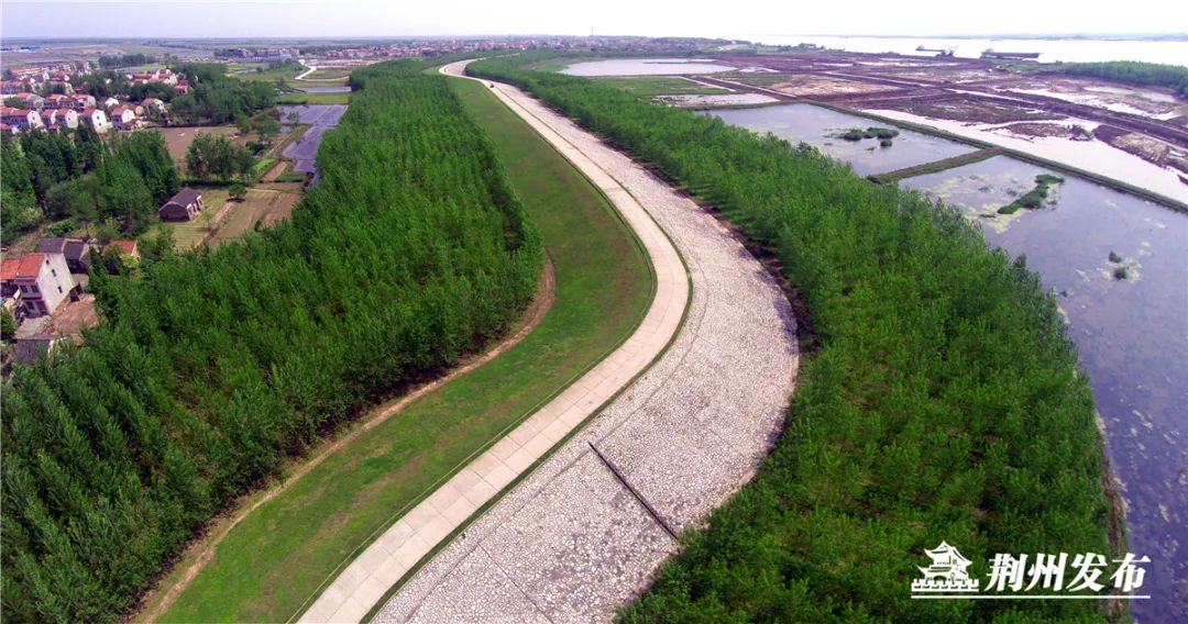 在长江两岸荆州3年种下450个园博园