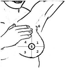 乳腺触诊成像怎么检查手把手教你怎么给自己的乳腺做检查_https://www.jmylbn.com_新闻资讯_第6张