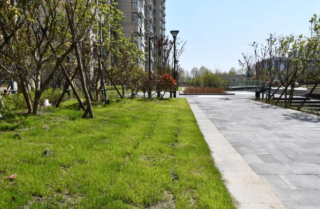 长丰又一安置小区即将建成交付快来看看你新家的模样