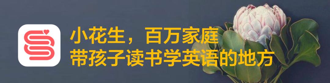 娃8岁启蒙 10岁解锁 哈利波特 12个做法要点 2年进阶书单 湃客 澎湃新闻 The Paper