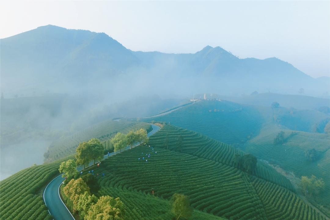 安吉茶山风景区图片
