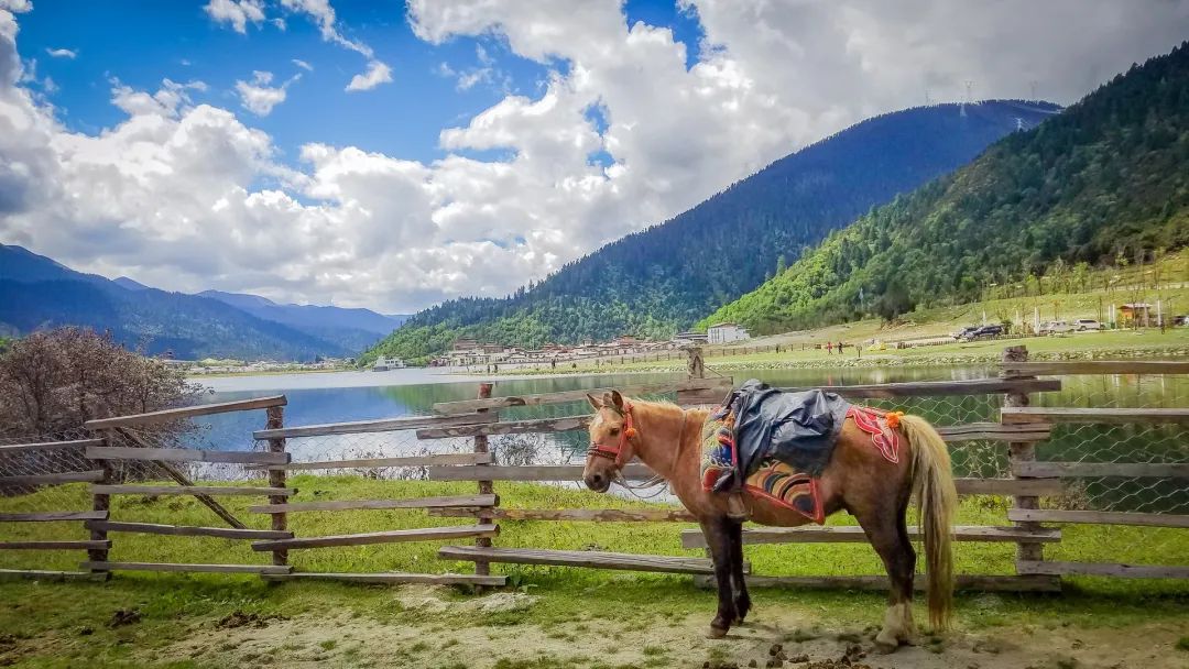 比如阿布拉虽然只是个初中生,却一直喜欢读书,平时也喜欢写点东西.