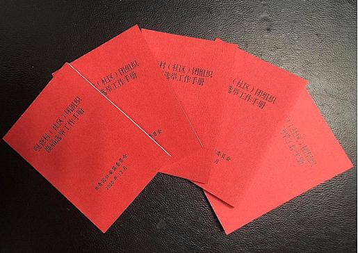 多彩基层兴安盟圆满完成嘎查村社区团组织换届工作