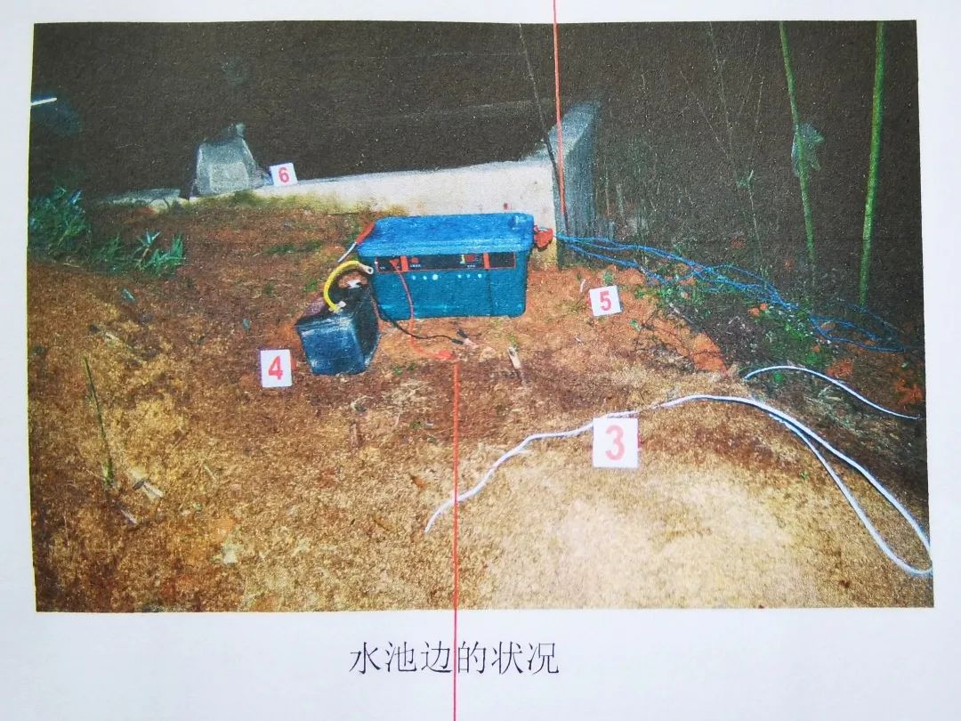 以案釋法|私拉電網電野豬,致人死亡被判刑