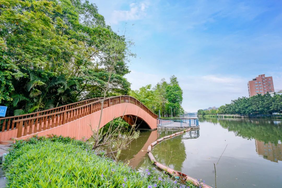 滨水台地景观图片