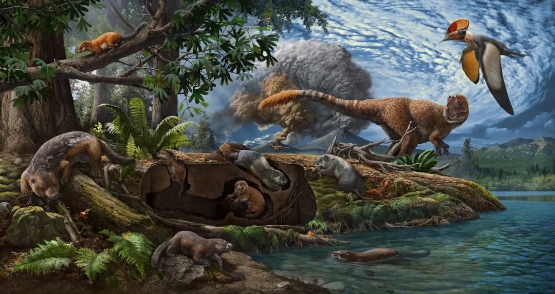 Nature：我国学者在世界级化石宝库热河生物群首次发现掘穴兽
