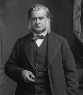 黑白花红冠子恐龙原来是这样的颜色