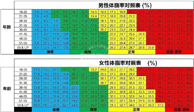 人体体脂率对照表