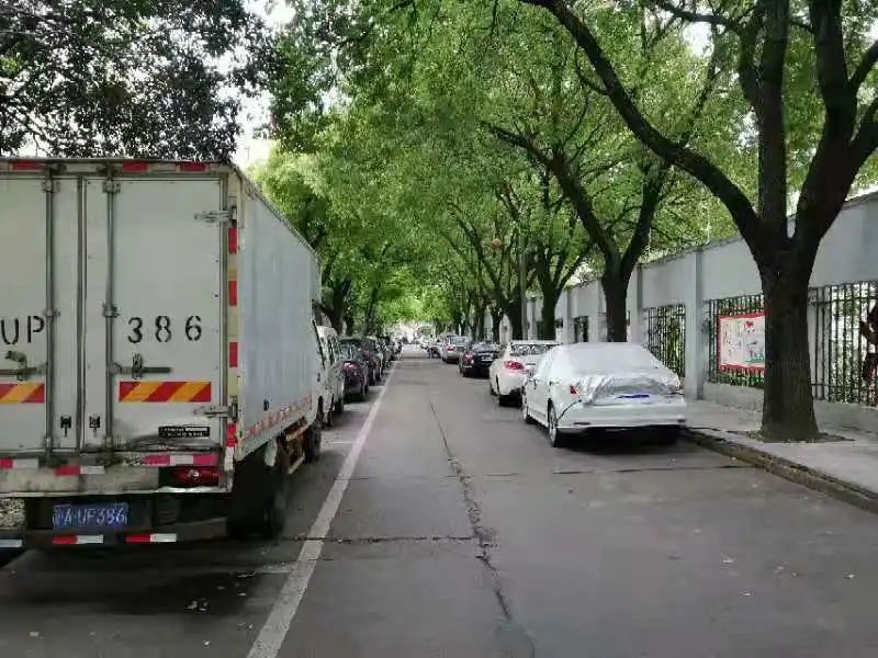 三不管“無(wú)名道路”，上海竟有1529條？人大代表追蹤兩年，辦理成果來(lái)了