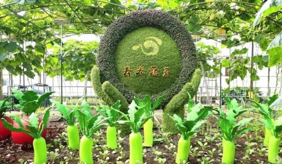 先睹为快寿光菜博会即将开幕