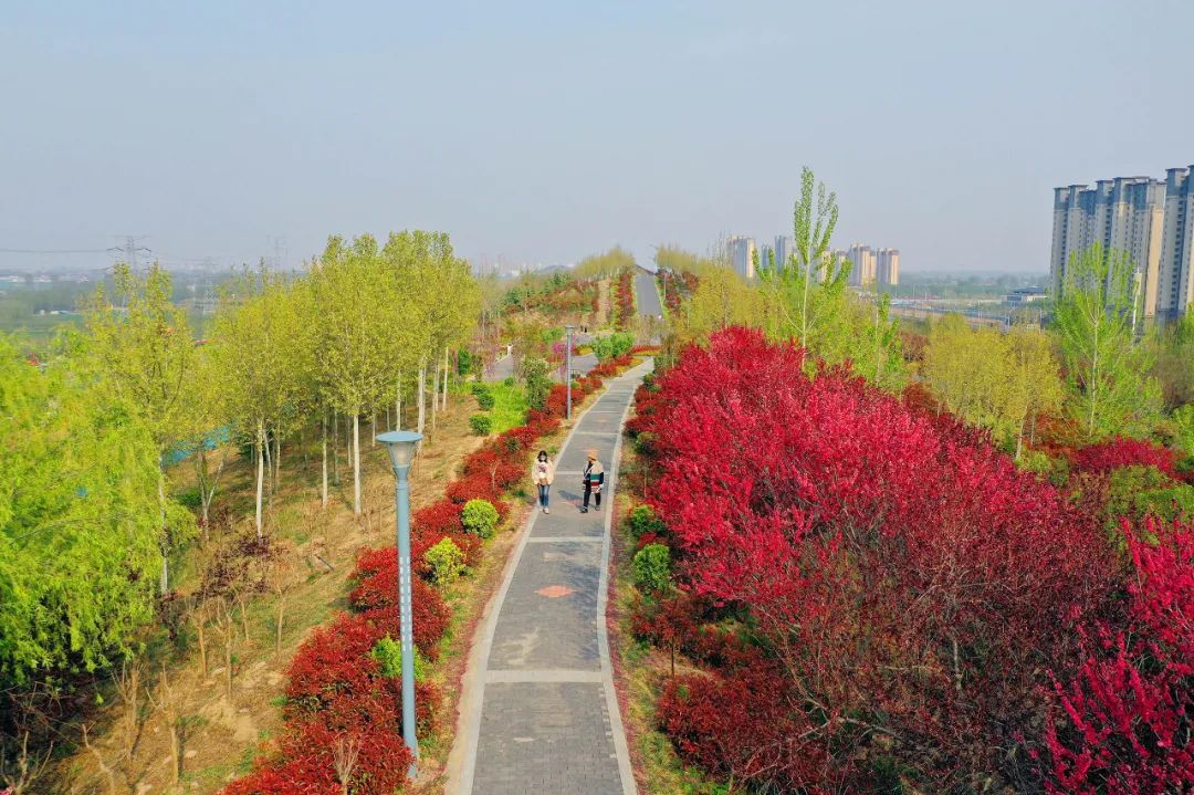 濮阳龙山公园风景图片图片