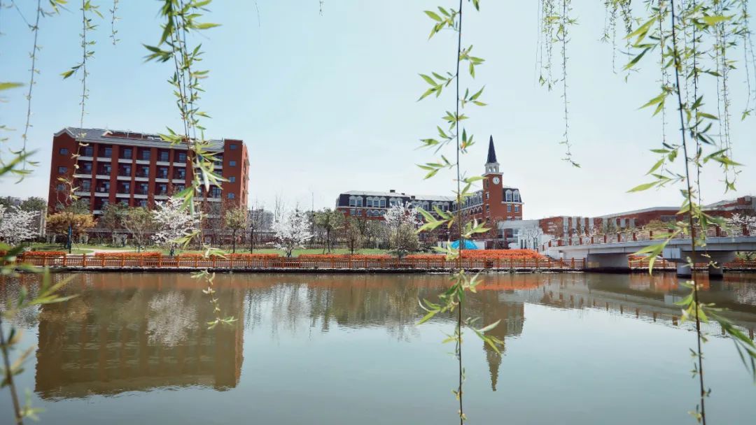 好美原来金山春日里的校园长这样来看看有没有你的学校