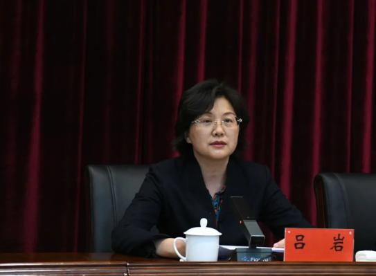 吕岩指出,全市政法队伍教育整顿启动以来,鹤壁市广大政法干警在各级各